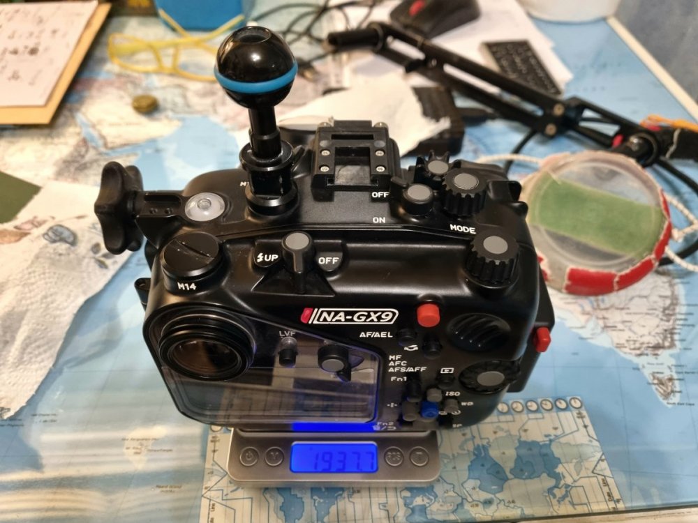 20220131_181936.jpg