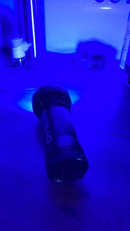 lampe 2.jpeg