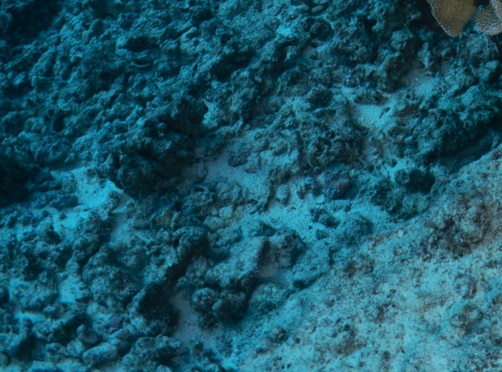 screenres_DSC01459.jpg