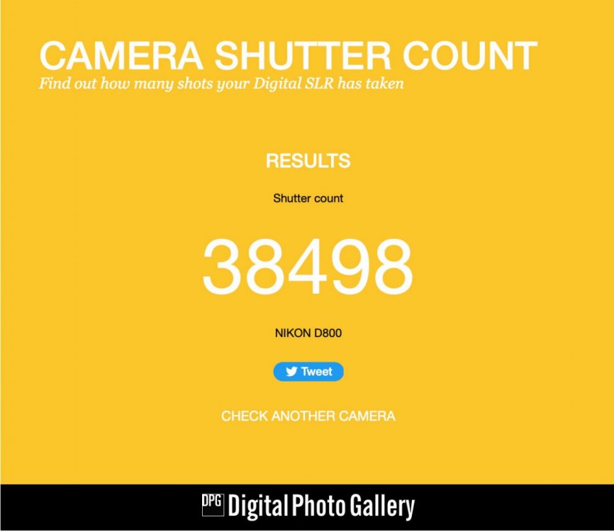 shutter-copy.jpg