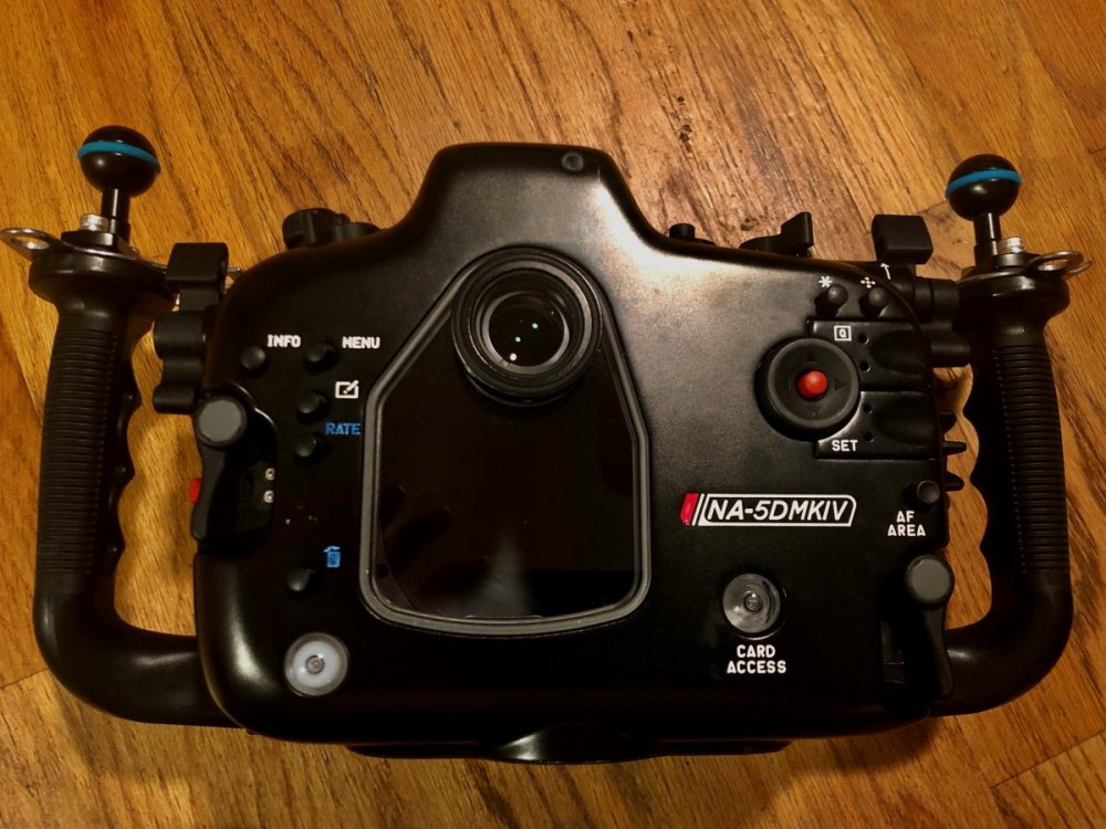5D MkIV Housing-Back.jpg