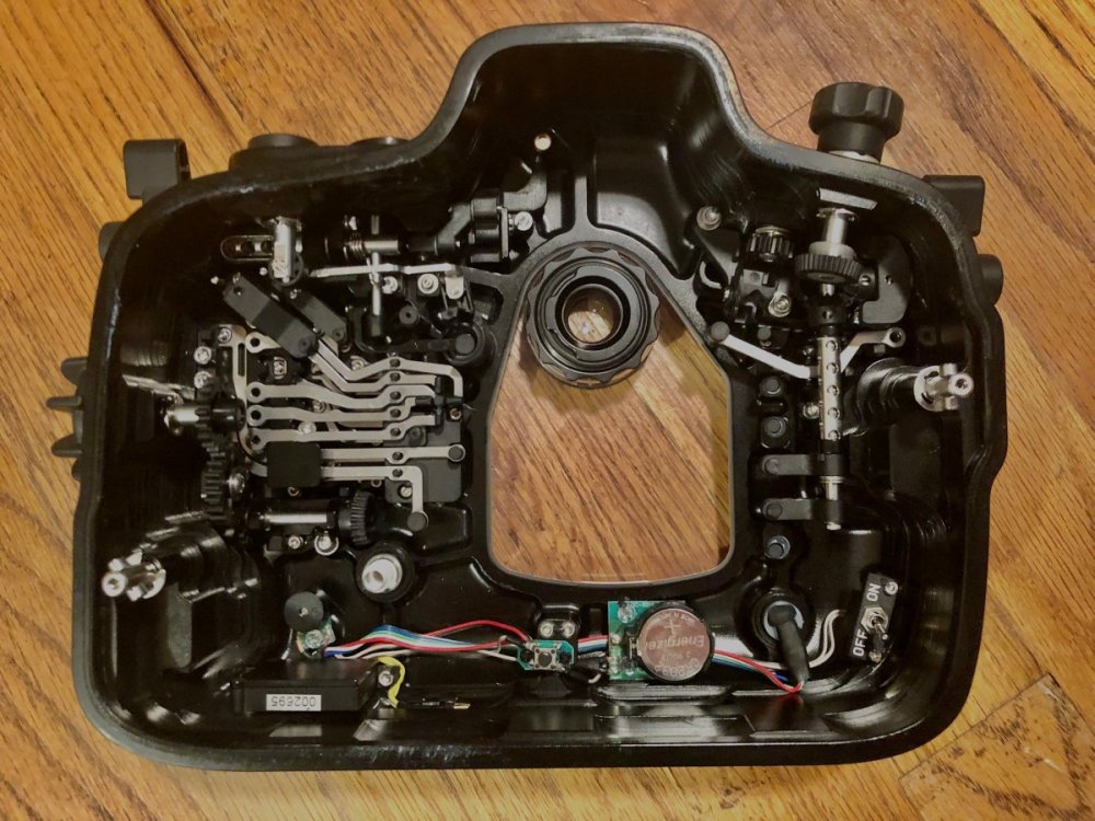 5D MkIV Housing-Back Half.jpg