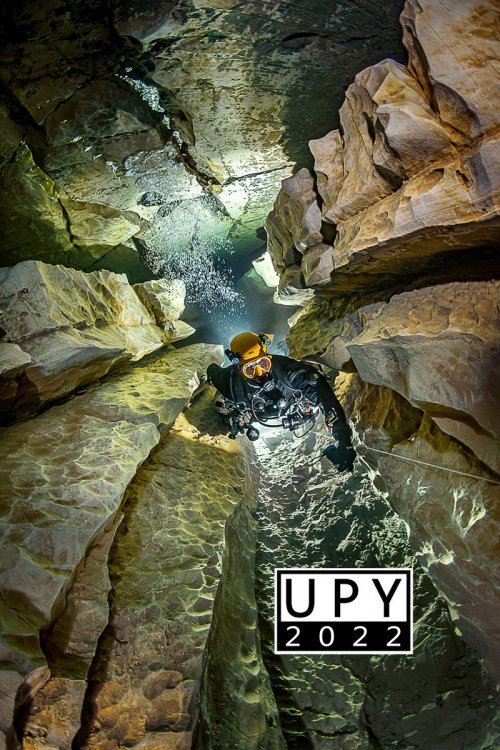 upandcoming-3_UPY 2022.jpg