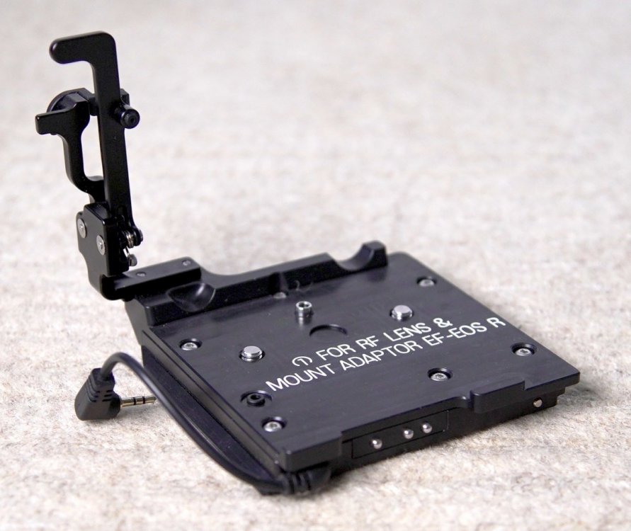 DJE08330.JPG