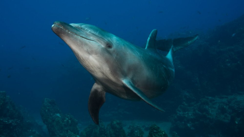 SOC_3180(LR6).jpg