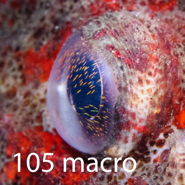 105.jpg