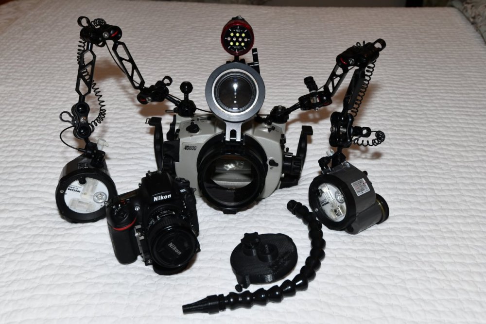 DSC_0040.thumb.JPG.251025b3bdb3353b4984e4e798456837.JPG