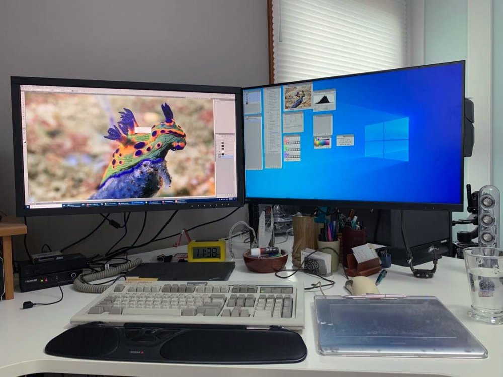Monitor_setup.jpg
