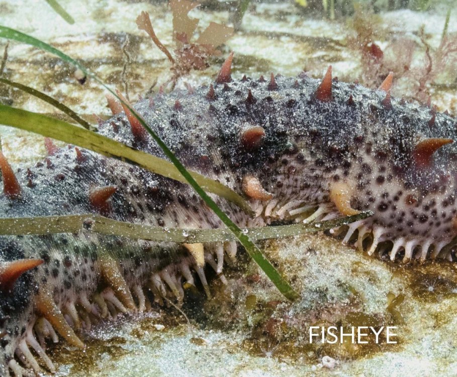 YUYAN-220319-KETDIVE-00068.jpg