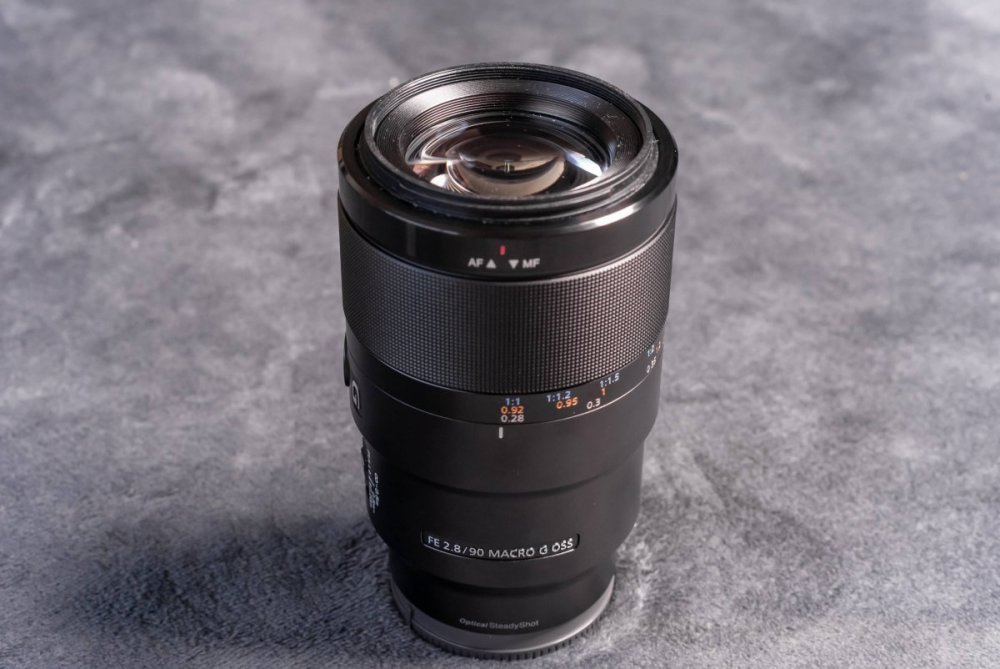 A7S00207.jpg