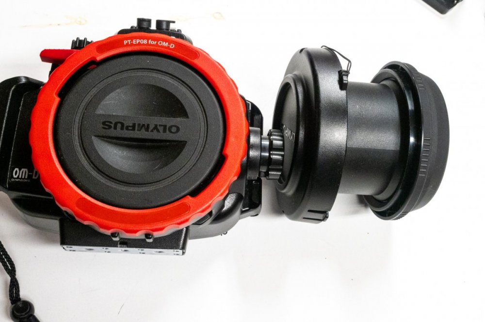 Em5-9.jpg
