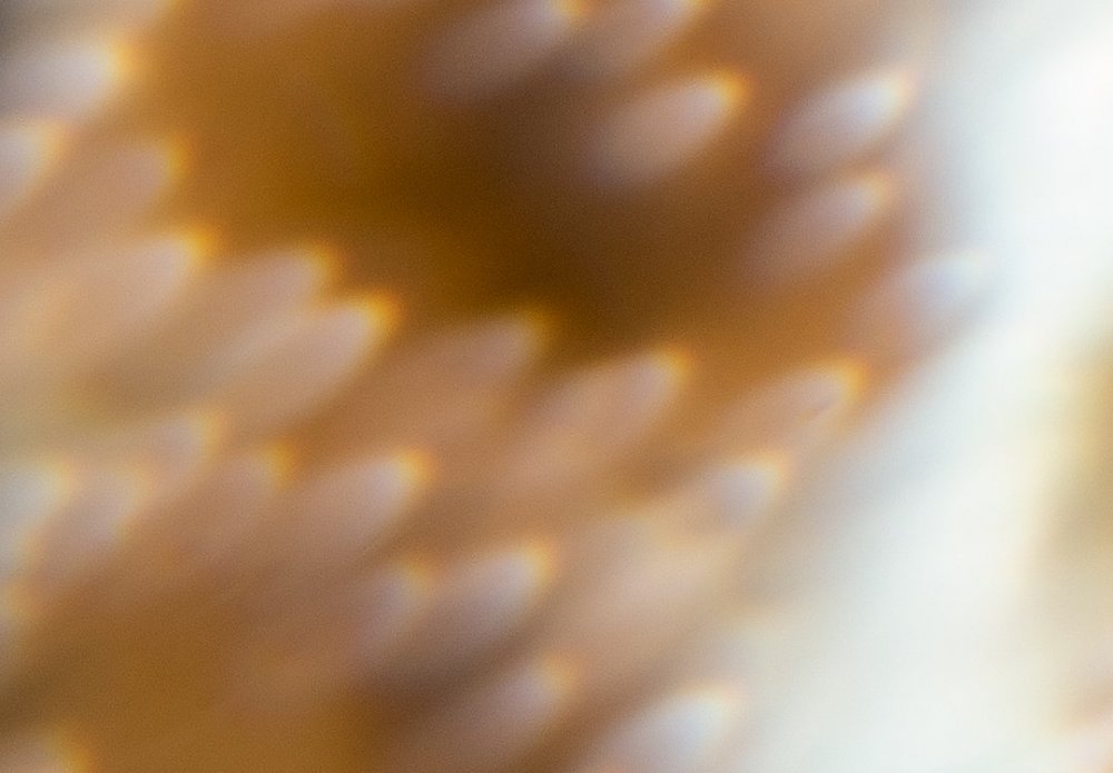 Untitled-2.thumb.jpg.8ec659144a711207d6f38abbc940e11b.jpg
