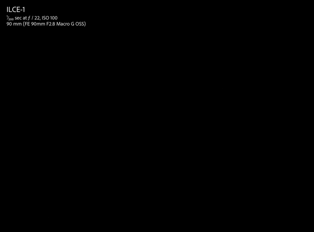 Flash turned off.png