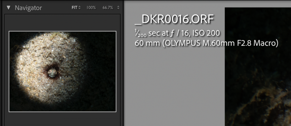 196776446_ScreenShot2022-06-27at9_45_18AM.thumb.png.d4afa869962c10acf62d82957b056058.png
