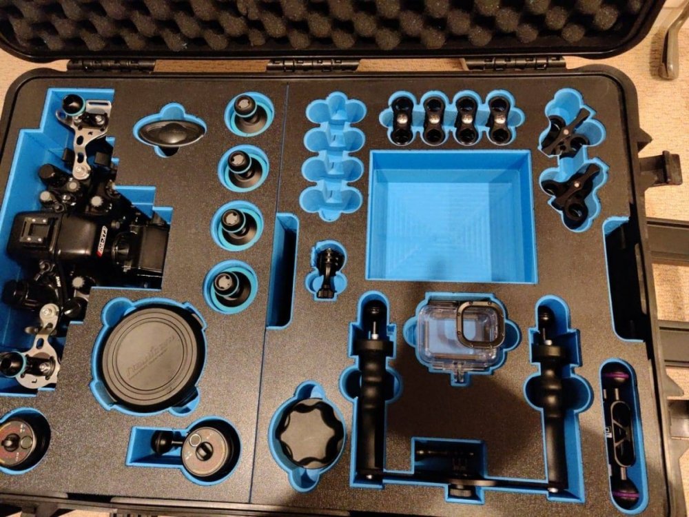 camera-housing-case1.thumb.jpg.be8344af94cce375105b6b19785570eb.jpg