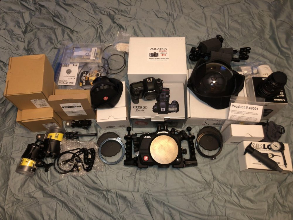 Canon 5D Mark four all equipment.jpg