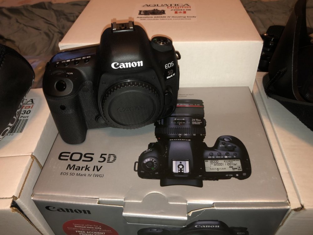 Close up Canon 5D Mark four camera body.jpg
