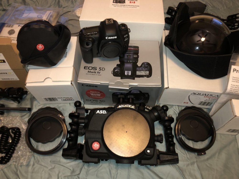 Canon 5D Mark four Close up camera and aquatica housing.jpg