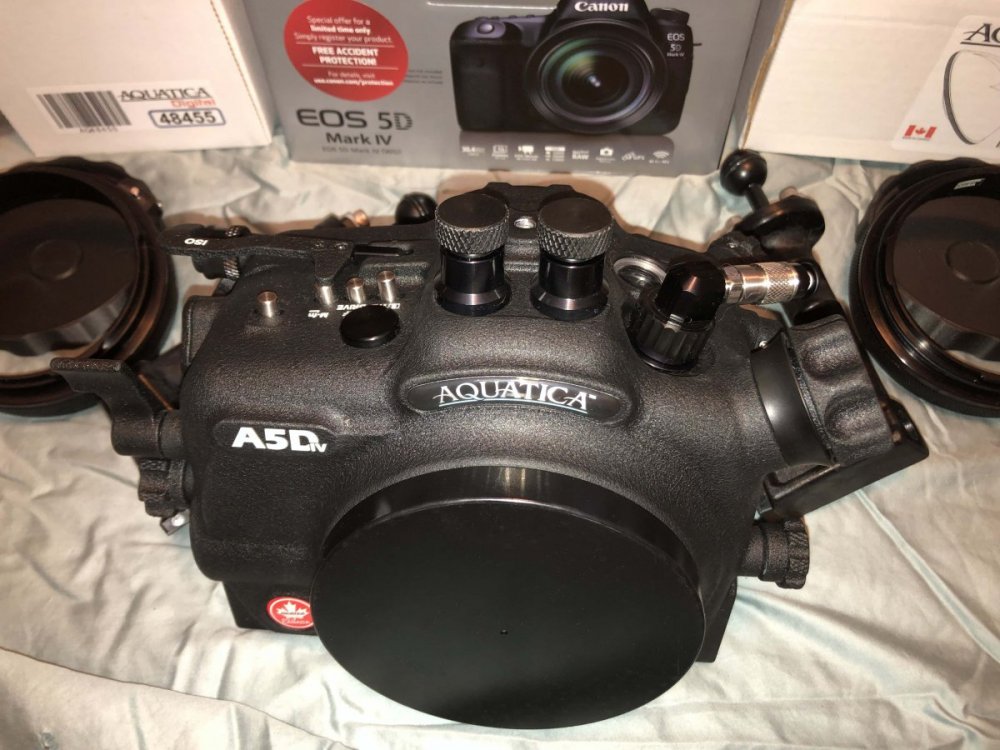Aquatica 5D Mark four housing Close up.jpg