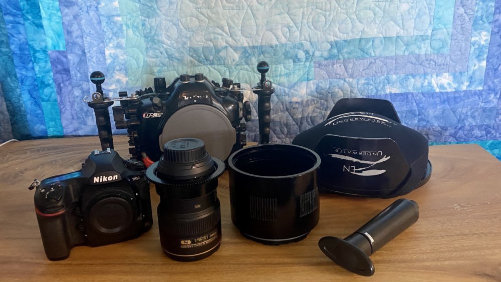 D850 housing and camera.jpg