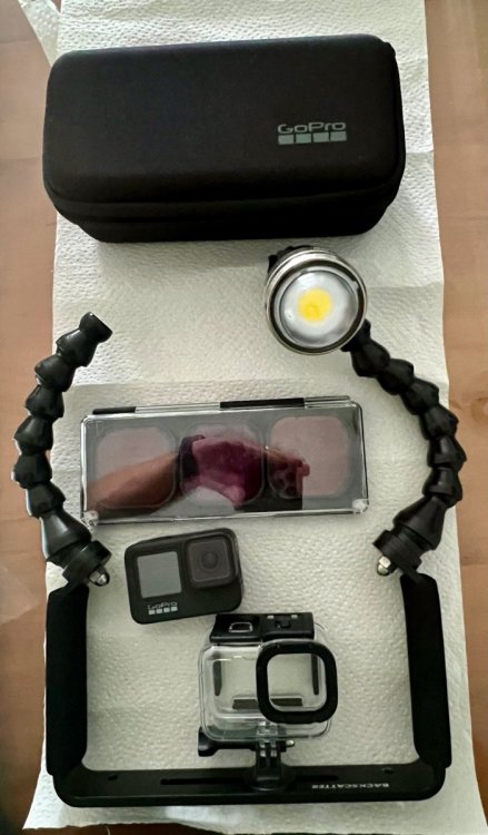GoPro9.jpeg