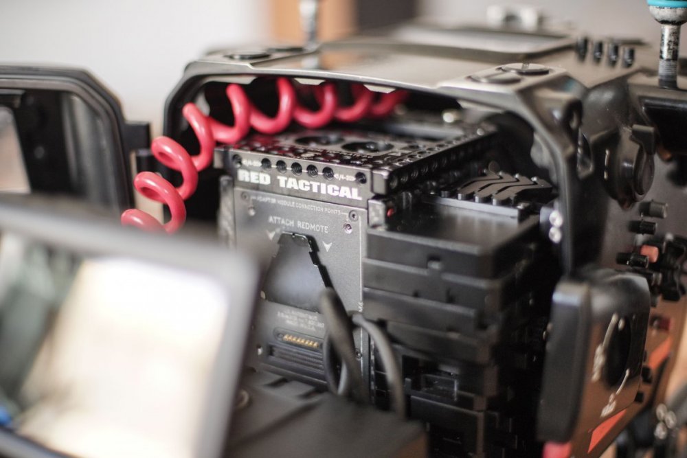 ZAN07869.thumb.jpg.a2a18fe90e4e7f775638086ec88c3749.jpg