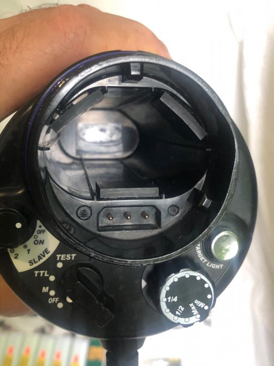 9. Strobe B.jpg