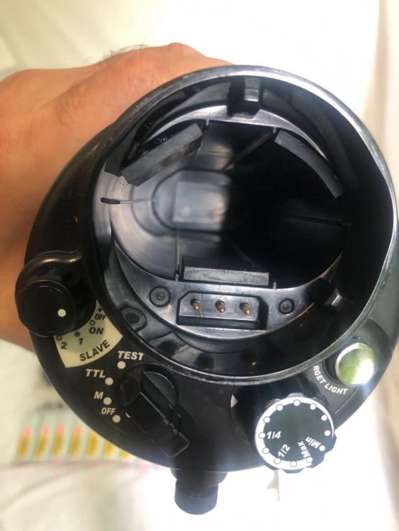 11. Strobe C.jpg
