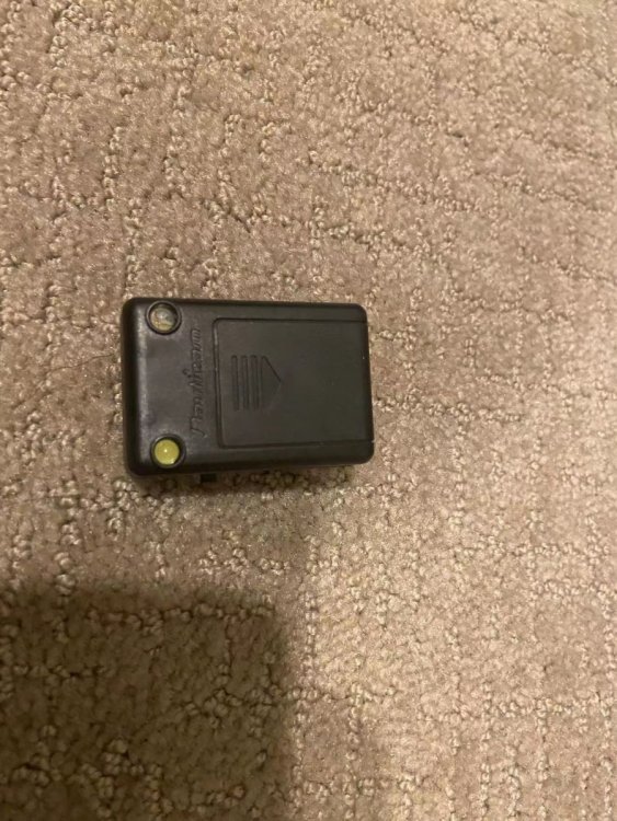 pic1 (3).jpg