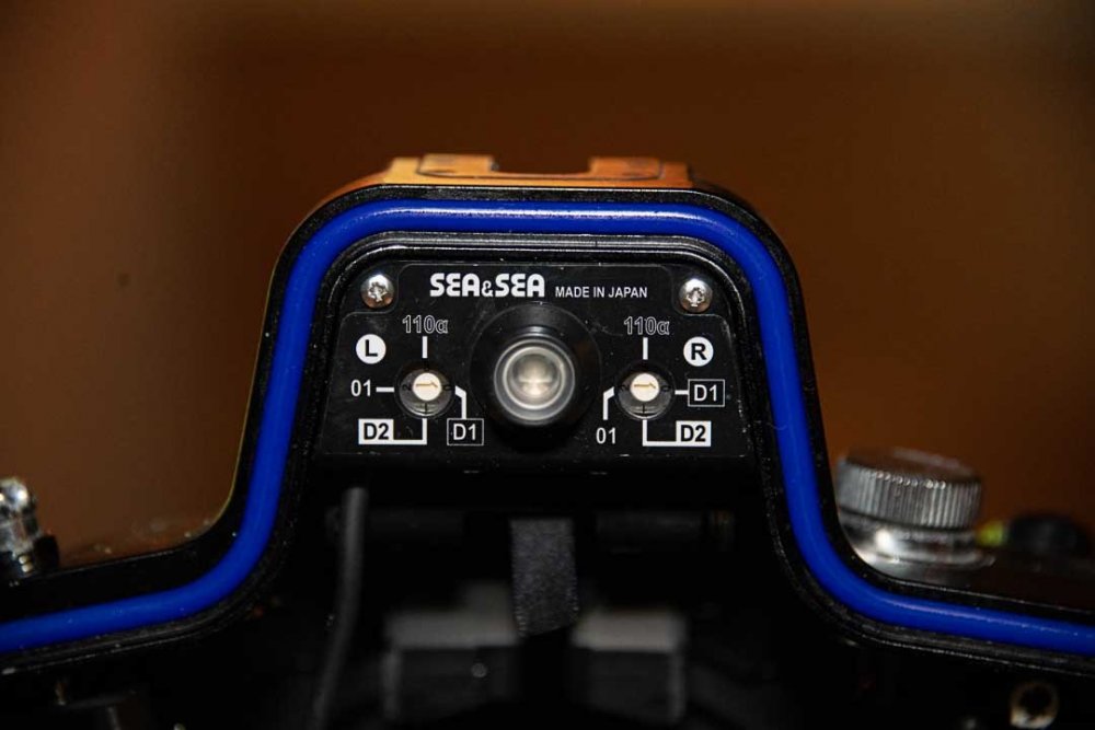 850_6224.jpg