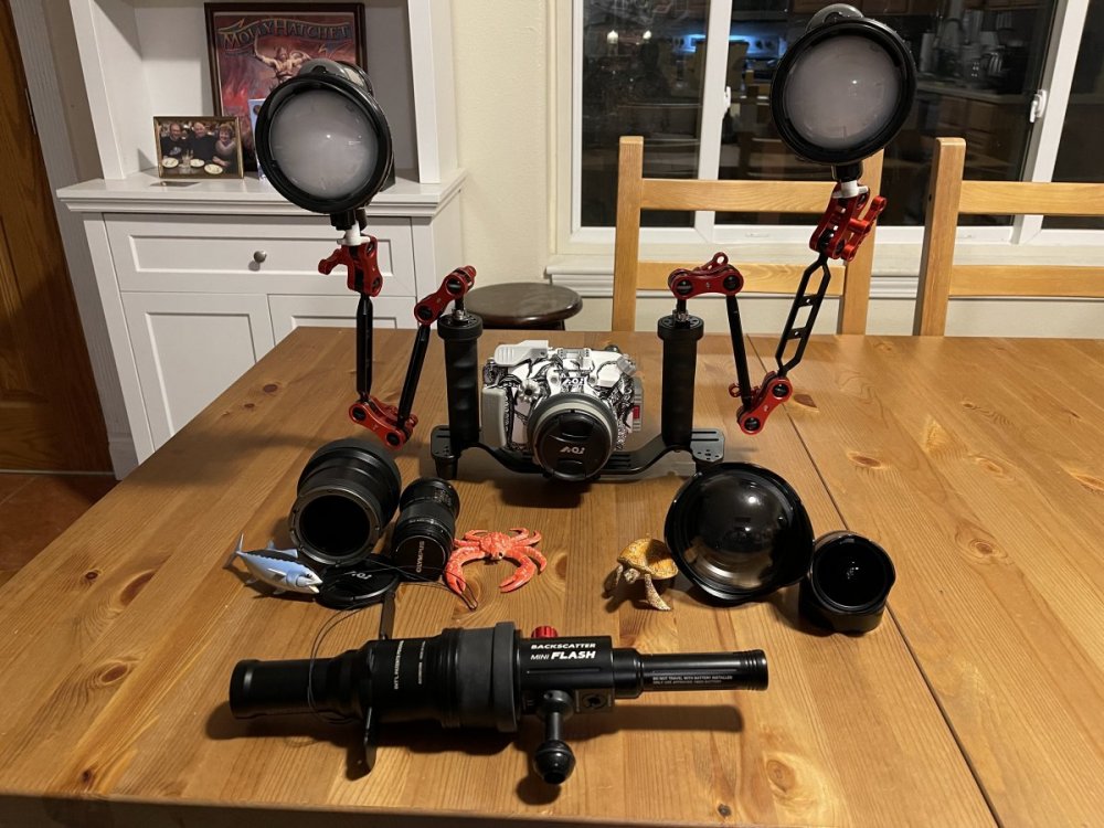 DiveCamera.jpg