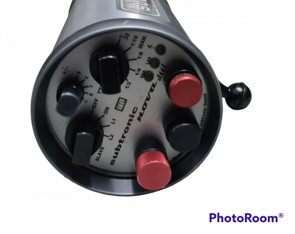 PhotoRoom-20221017_135112.jpeg
