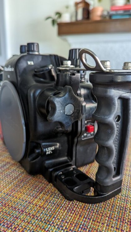 sony7.jpg