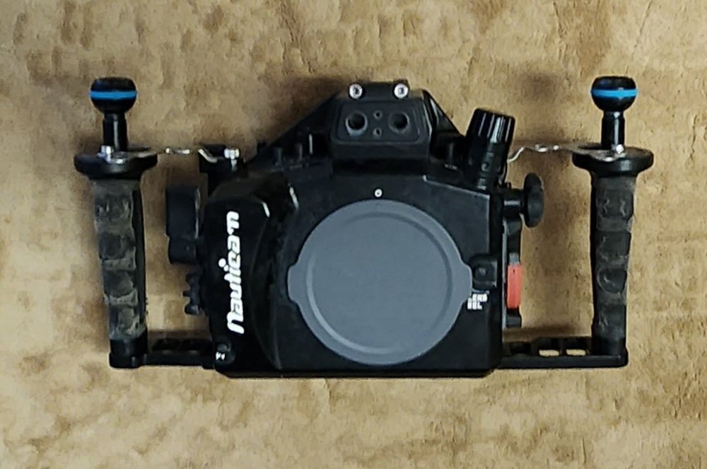 20221125_150406.jpg