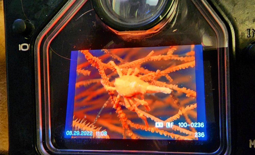 20221125_152104.jpg