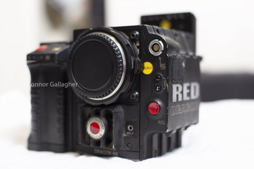 FS7A9966.jpg