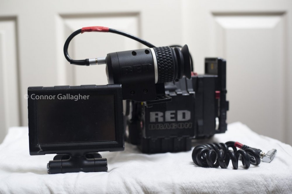 FS7A9986.jpg