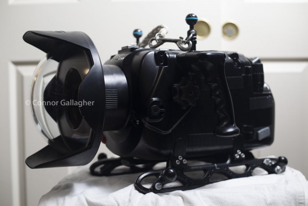 FS7A9994.jpg
