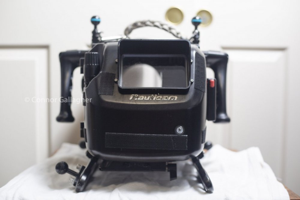 FS7A9995.jpg