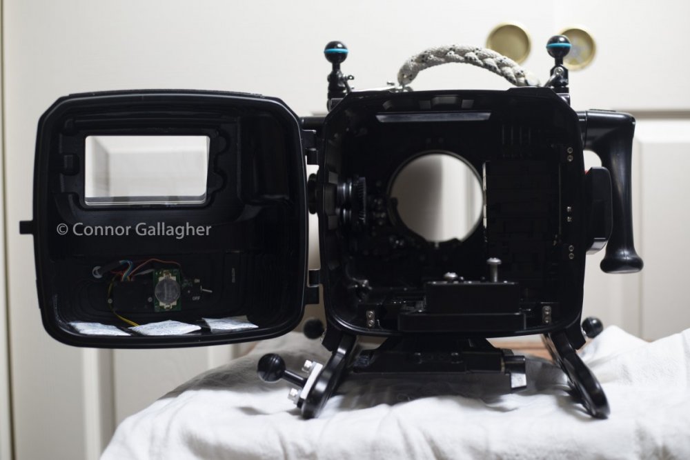 FS7A9996.jpg
