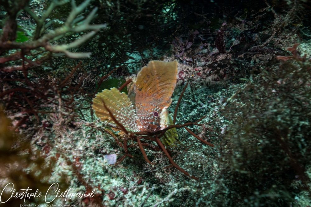 salalah-5.jpg