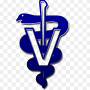 dvm