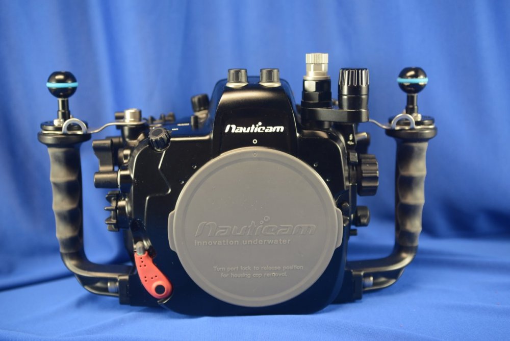 DSC_5377.JPG