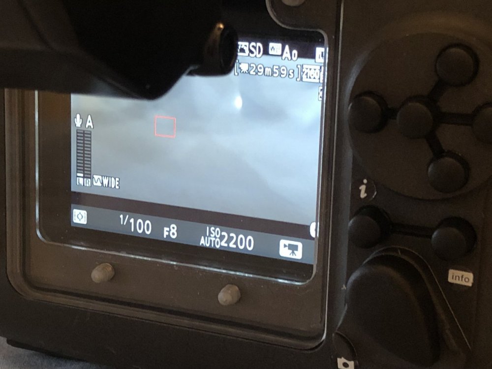 IMG_2627.jpeg