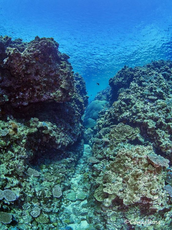 Waypoint3043_AdobeRGB.jpg