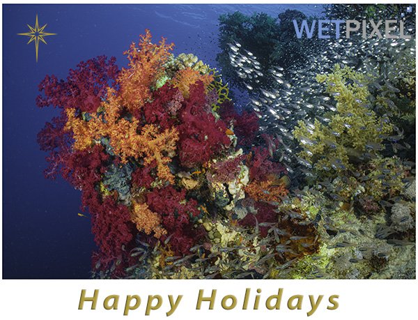 Wetpixel_holidays_2022_600.jpg