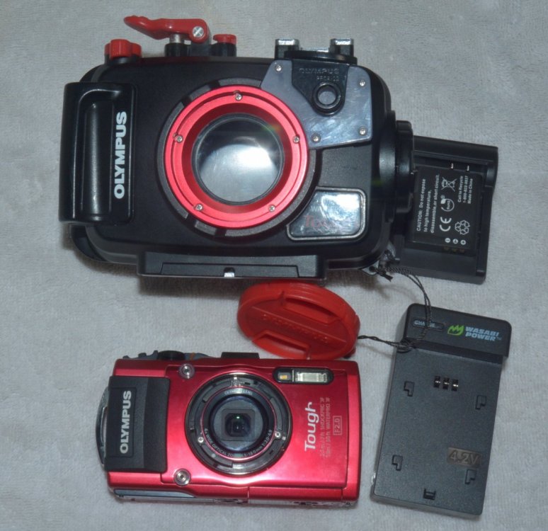 _DSC0364.thumb.JPG.b2ec7363b0f8134ad6226d7e0216a087.JPG