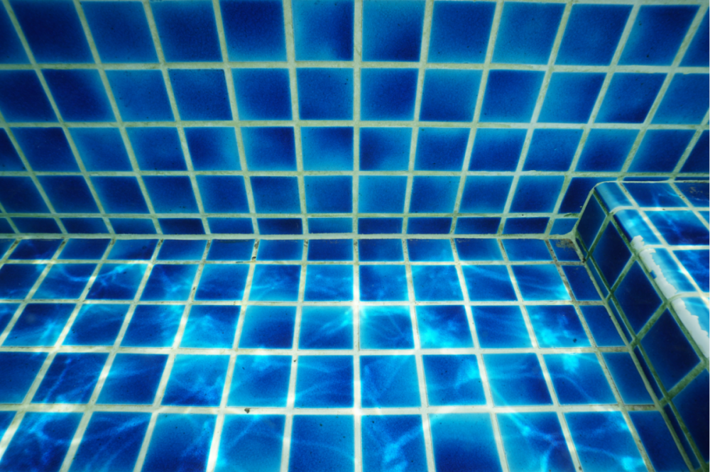 image.thumb.png.b19bda018ecdb99aeb8652b7f8cabb99.png
