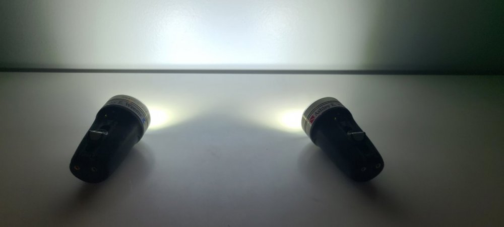20230308_051428.jpg