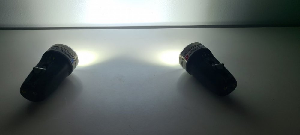 20230308_051442.jpg